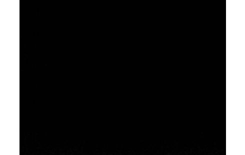 Iphone 5 Blanc & argenté 16 Go