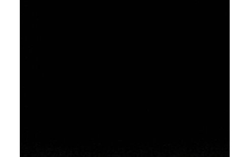 iPhone 11 64 Go Blanc