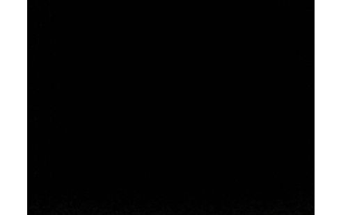 iPhone 11 64 Go Blanc