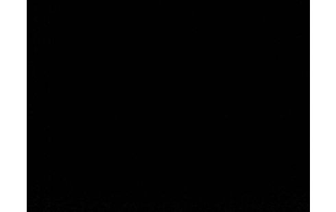 iPhone 11 64 Go Blanc