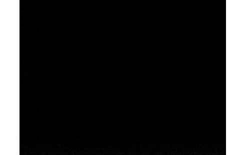 iPhone 11 64 Go Blanc 5135135135