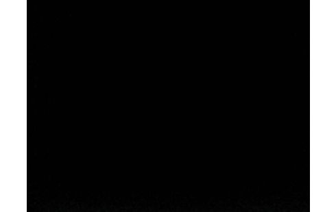 iPhone 6 32 Go Noir 1351351