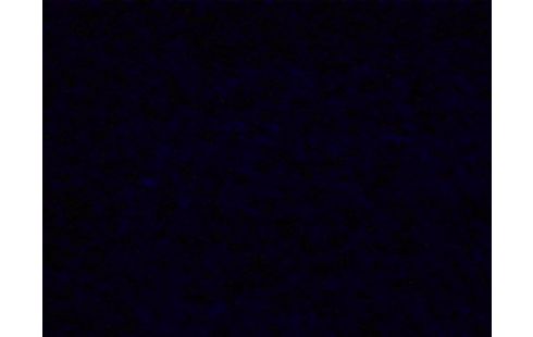 Manga - Fairy Tale 100 Years Quest - Tome 05