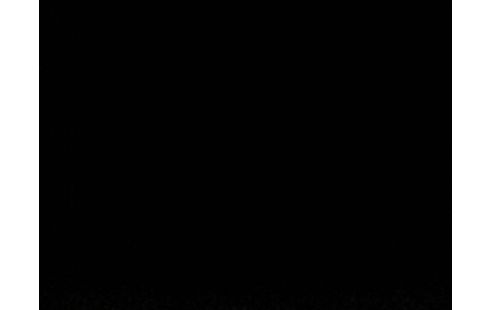 Iphone 5C 32 GO rose