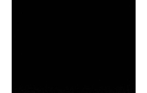 Iphone 5C 32 GO rose