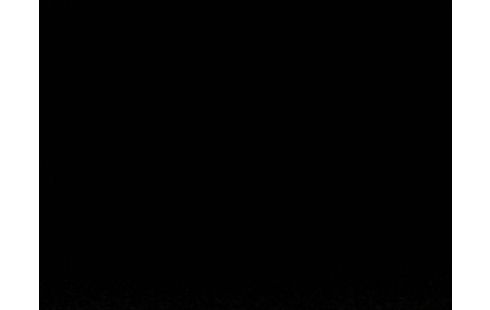 iPhone 11 64Go purple 135135151