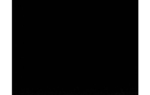 iPhone 11 64Go purple 135135151