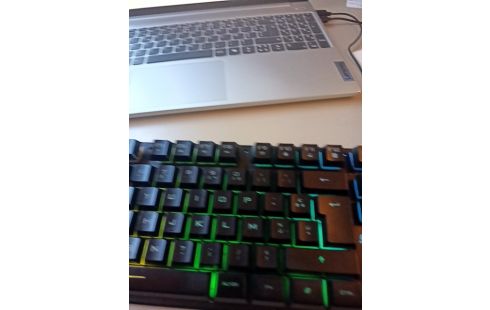 Les Sarments De La Colère / Litterature