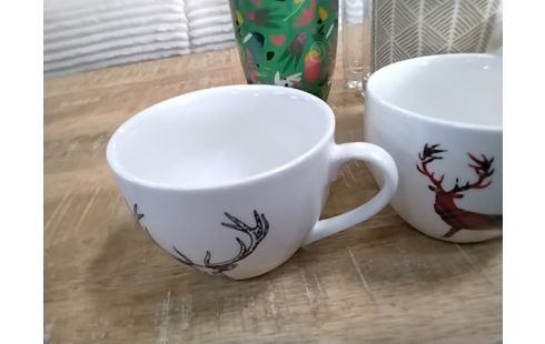 TASSE