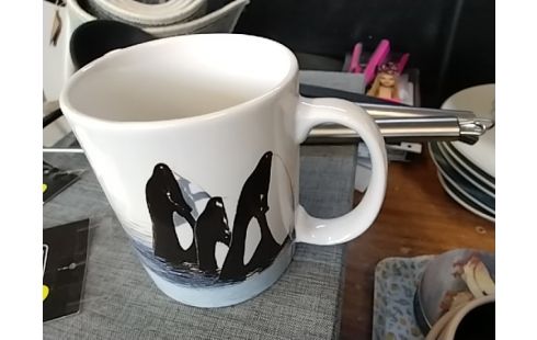 TASSE Pm