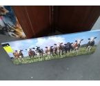 CADRE Vaches